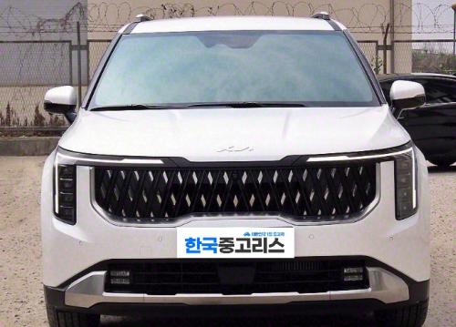 더뉴카니발 출고감사합니다 ^^ 이미지